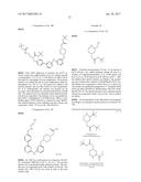 MACROCYLIC PYRIMIDINE DERIVATIVES diagram and image