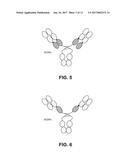 IL-23 ANTIBODIES AND METHODS OF USING THE SAME diagram and image