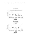 IL-23 ANTIBODIES AND METHODS OF USING THE SAME diagram and image