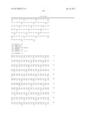 IL-23 ANTIBODIES AND METHODS OF USING THE SAME diagram and image