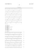 IL-23 ANTIBODIES AND METHODS OF USING THE SAME diagram and image