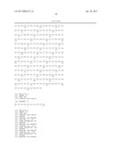 IL-23 ANTIBODIES AND METHODS OF USING THE SAME diagram and image