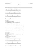 METHODS FOR TREATING CANCER WITH NOTCH1 ANTIBOIDES diagram and image