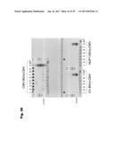 Renewable Diesel and Jet Fuel from Microbial Sources diagram and image