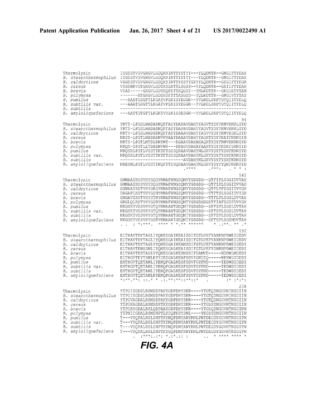 USE AND PRODUCTION OF STORAGE-STABLE NEUTRAL METALLOPROTEASE - diagram, schematic, and image 05