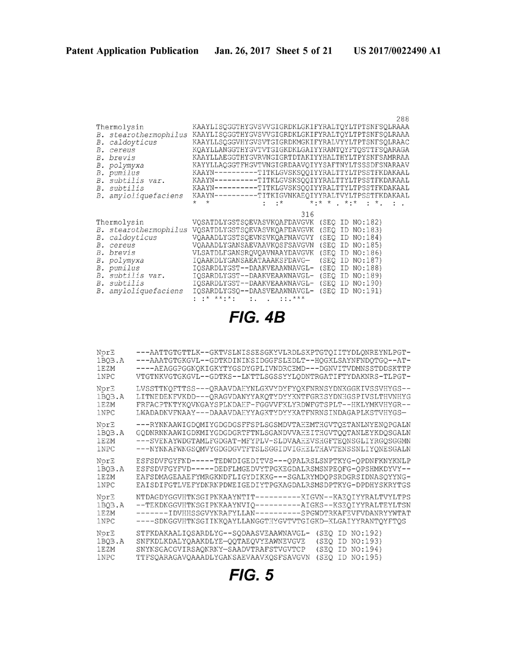 USE AND PRODUCTION OF STORAGE-STABLE NEUTRAL METALLOPROTEASE - diagram, schematic, and image 06