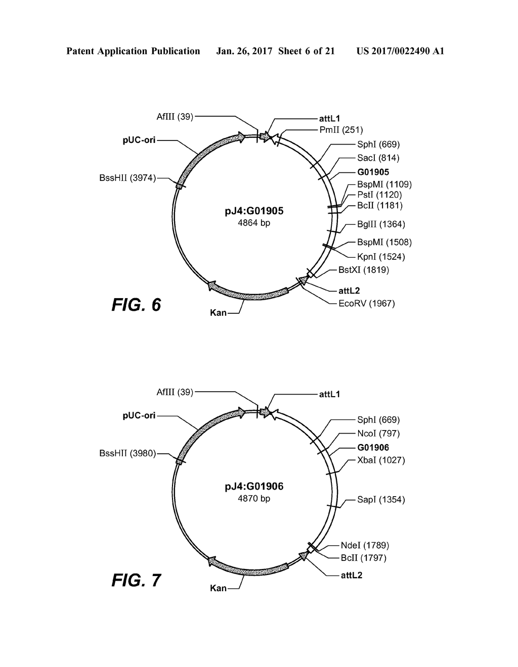 USE AND PRODUCTION OF STORAGE-STABLE NEUTRAL METALLOPROTEASE - diagram, schematic, and image 07