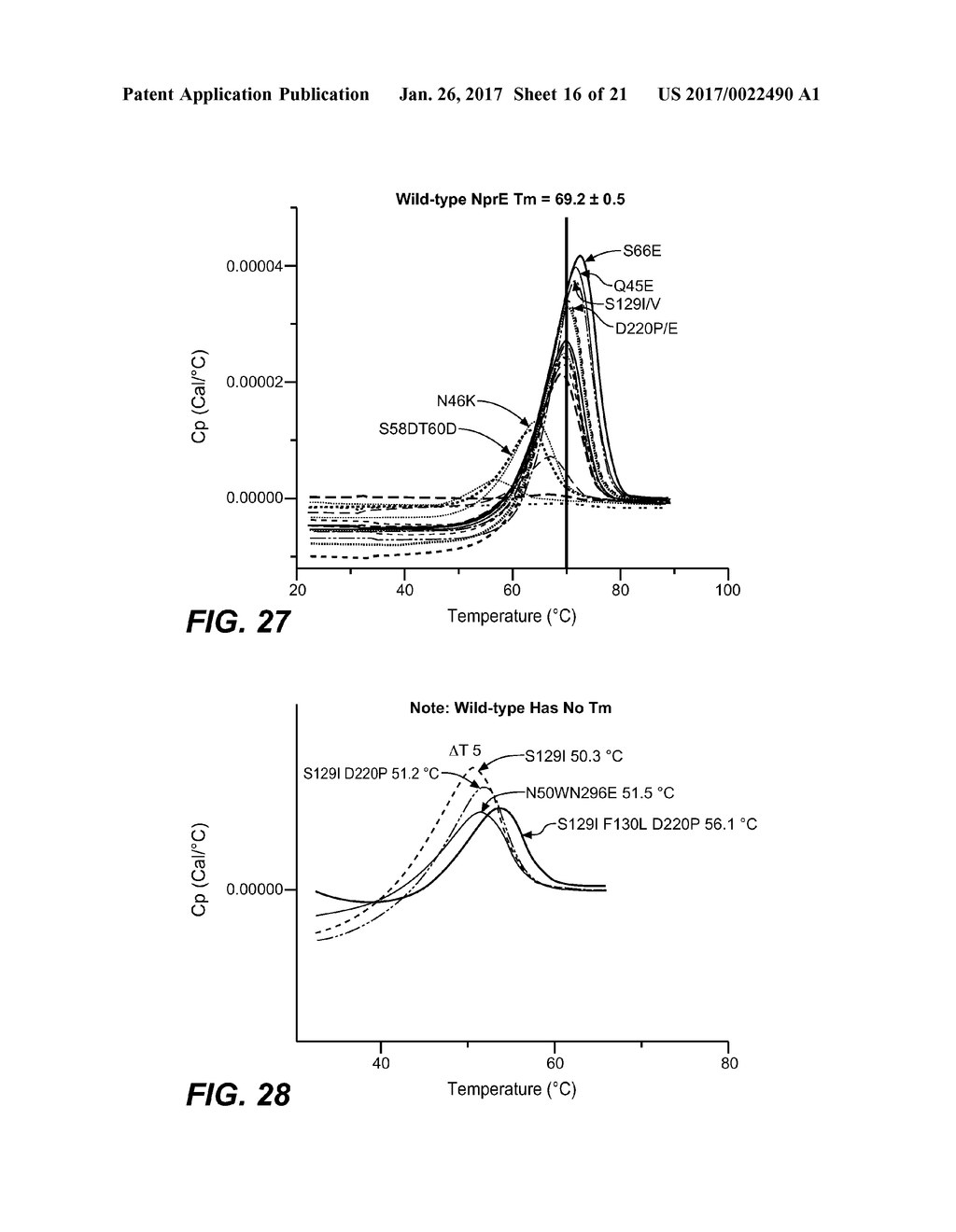 USE AND PRODUCTION OF STORAGE-STABLE NEUTRAL METALLOPROTEASE - diagram, schematic, and image 17