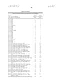 ENGINEERED IMINE REDUCTASES AND METHODS FOR THE REDUCTIVE AMINATION OF     KETONE AND AMINE COMPOUNDS diagram and image