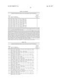 ENGINEERED IMINE REDUCTASES AND METHODS FOR THE REDUCTIVE AMINATION OF     KETONE AND AMINE COMPOUNDS diagram and image