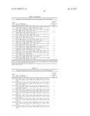 ENGINEERED IMINE REDUCTASES AND METHODS FOR THE REDUCTIVE AMINATION OF     KETONE AND AMINE COMPOUNDS diagram and image