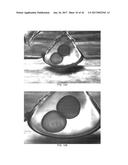 COMPOSITE LIQUID CELLS diagram and image