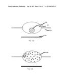 COMPOSITE LIQUID CELLS diagram and image