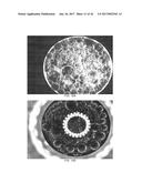 COMPOSITE LIQUID CELLS diagram and image