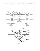 COMPOSITE LIQUID CELLS diagram and image