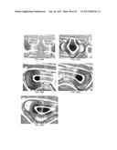 COMPOSITE LIQUID CELLS diagram and image