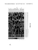 MICRORNA ASSAY FOR DETECTION AND MANAGEMENT OF PANCREATIC CANCER     PRECURSORS diagram and image