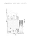 MICRORNA ASSAY FOR DETECTION AND MANAGEMENT OF PANCREATIC CANCER     PRECURSORS diagram and image