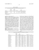 MICRORNA ASSAY FOR DETECTION AND MANAGEMENT OF PANCREATIC CANCER     PRECURSORS diagram and image