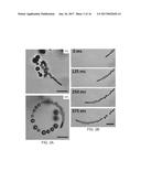 MEMBRANE TEMPLATE SYNTHESIS OF MICROTUBE ENGINES diagram and image