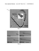 MEMBRANE TEMPLATE SYNTHESIS OF MICROTUBE ENGINES diagram and image