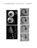 MEMBRANE TEMPLATE SYNTHESIS OF MICROTUBE ENGINES diagram and image