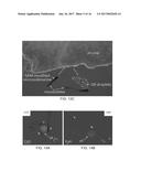 MEMBRANE TEMPLATE SYNTHESIS OF MICROTUBE ENGINES diagram and image