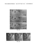 MEMBRANE TEMPLATE SYNTHESIS OF MICROTUBE ENGINES diagram and image