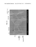 WAVELENGTH CONVERTER CONTAINING PHOSPHOR PARTICLES diagram and image