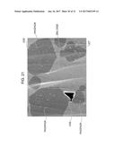 WAVELENGTH CONVERTER CONTAINING PHOSPHOR PARTICLES diagram and image