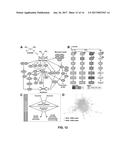 CHEMICAL THREAT ASSESSMENT BY RAPID MOLECULAR PHENOTYPING diagram and image