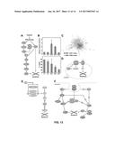 CHEMICAL THREAT ASSESSMENT BY RAPID MOLECULAR PHENOTYPING diagram and image