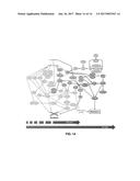 CHEMICAL THREAT ASSESSMENT BY RAPID MOLECULAR PHENOTYPING diagram and image