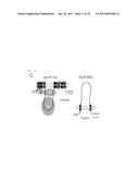 METHOD OF SCREENING ATP11C OR CDC50A INHIBITOR diagram and image