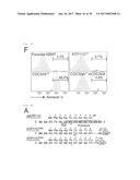 METHOD OF SCREENING ATP11C OR CDC50A INHIBITOR diagram and image