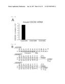 METHOD OF SCREENING ATP11C OR CDC50A INHIBITOR diagram and image