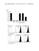 METHOD OF SCREENING ATP11C OR CDC50A INHIBITOR diagram and image