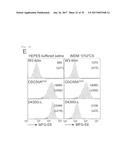 METHOD OF SCREENING ATP11C OR CDC50A INHIBITOR diagram and image