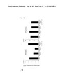 METHOD OF SCREENING ATP11C OR CDC50A INHIBITOR diagram and image