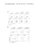 METHOD OF SCREENING ATP11C OR CDC50A INHIBITOR diagram and image