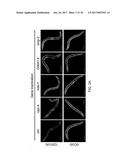 Tools and Methods for Targeting Oligonucleotide Repeat RNA Toxicity diagram and image