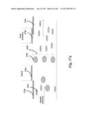APPARATUS FOR DETECTING TUMOR CELLS diagram and image
