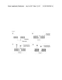 APPARATUS FOR SCREENING CELLS diagram and image