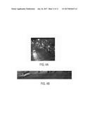 VIDEO-BASED SYSTEM AND METHOD FOR PARKING OCCUPANCY DETECTION diagram and image