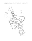 ABLATION CATHETER diagram and image