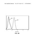 PEPTIDE-CONJUGATED LIPOSOME diagram and image