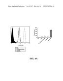 PEPTIDE-CONJUGATED LIPOSOME diagram and image