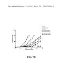 PEPTIDE-CONJUGATED LIPOSOME diagram and image