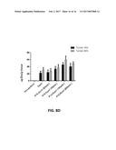 PEPTIDE-CONJUGATED LIPOSOME diagram and image