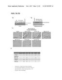 mTORC1 MODULATION BY AMINO ACIDS AND USES THEREOF diagram and image